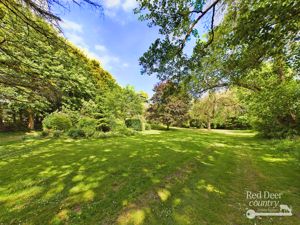 Garden- click for photo gallery